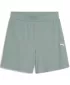 Damenshorts PUMA ESS ELEVATED SHORTS 685026_30 GRÜNER MOND