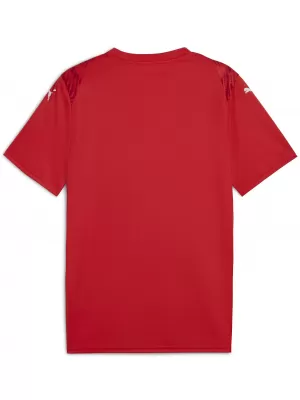 Herren -Trikot PUMA TEAMULTIMATE JERSEY 706280_01 PUMA ROT/PUMA WEIß