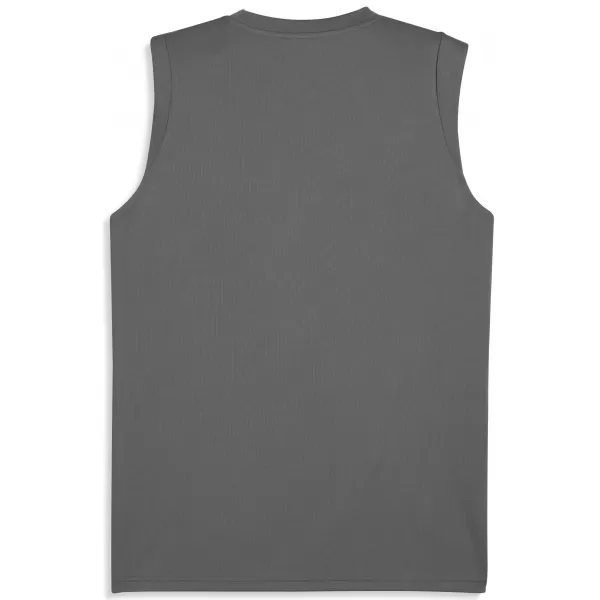  Herren -Trikot PUMA TEAMCUP TRAINING SL JERSEY 659168_13 FLAT MEDIUM GRAY/ FLACHES MITTELGRAU/PUMA SILBER 