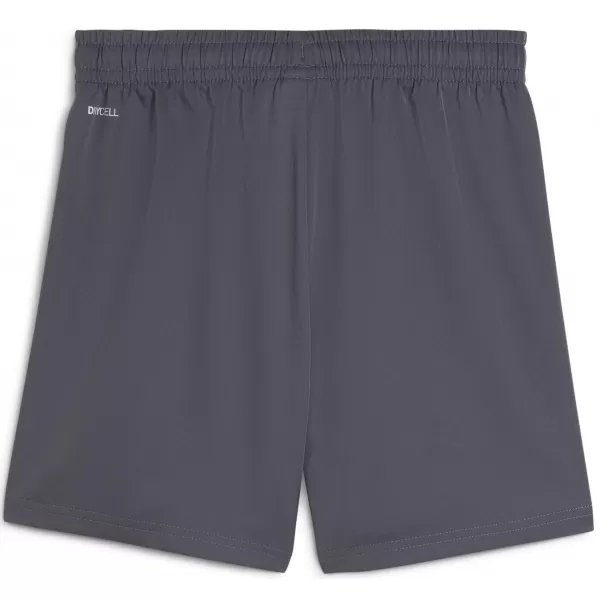  Shorts PUMA TAD ESS WOVEN SHORTS 526539_69 GALAKTISCH GRAU 