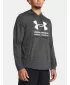 Herren-Sweatshirt UNDER ARMOUR RIVAL TERRY GRAPHIC HOOD 1386047-025 GRAU