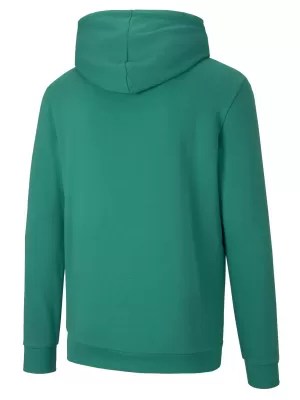 Herren -Sweatshirt PUMA TEAMGOAL 23 CAUSALS HOODY 656580_05 PFEFFERGRÜN