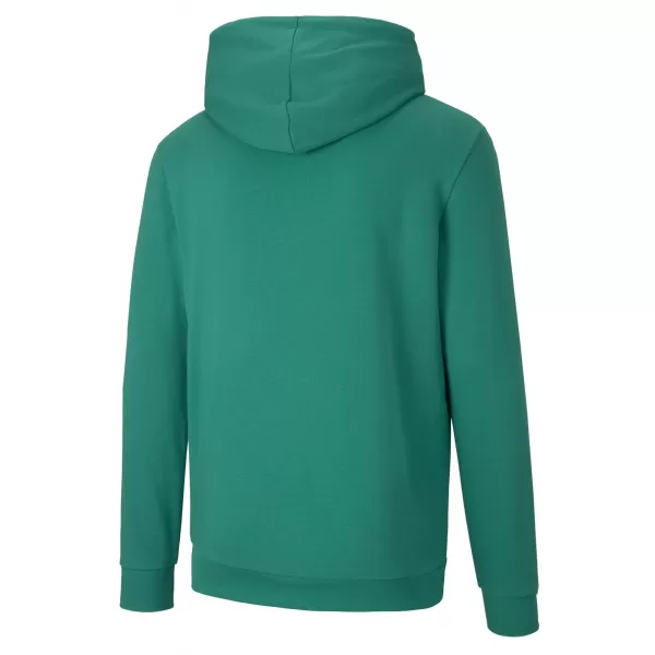  Herren -Sweatshirt PUMA TEAMGOAL 23 CAUSALS HOODY 656580_05 PFEFFERGRÜN 