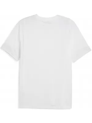 Hemd PUMA TEAMCUP TRAINING JERSEY 659167_01 PUMA ROT/PUMA SILBER