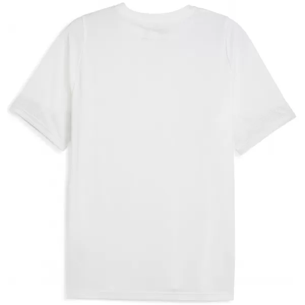  Hemd PUMA TEAMCUP TRAINING JERSEY 659167_01 PUMA ROT/PUMA SILBER 
