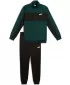Herren-Set PUMA POLY COLORBLOCK SUIT 687304-75 GRÜN