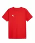 Herren -Trikot PUMA TEAMRISE MATCHDAY JERSEY 706132-01 ROT