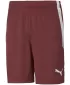 Shorts PUMA TEAMLIGA SHORTS 704924_02 ELEKTRISCHE BLAUE LIMONADE