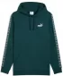 Herren-Sweatshirt PUMA ESS TAPE HOODIE FL 684675-75 GRÜN