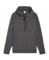 Herren-Sweatshirt PUMA TECH HALF ZIP HOODIE 688044-44 GRAU