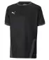 T -Shirt PUMA TEAMGOAL 23 JERSEY JR 704160_03 PUMA BLACK/ASPHALT